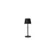 ROBLE Table Dark Grey 3000K (Warm White) Architectural Modern Portable - LUTEC