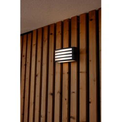 ZEBRA Wall Dark Grey  Architectural Modern Diffuse Light LUTEC