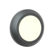 Jocassee LED 3.5W 3CCT Απλίκα Εξωτερικού Χώρου Ανθρακί IP65 D:15cmx2.7cm - it-Lighting